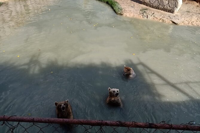 Private Safari Tour To Africano Park Alexandria From Cairo - Meeting and Pickup Details