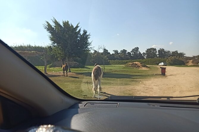Private Safari Tour To Africano Park Alexandria From Cairo - Booking Details