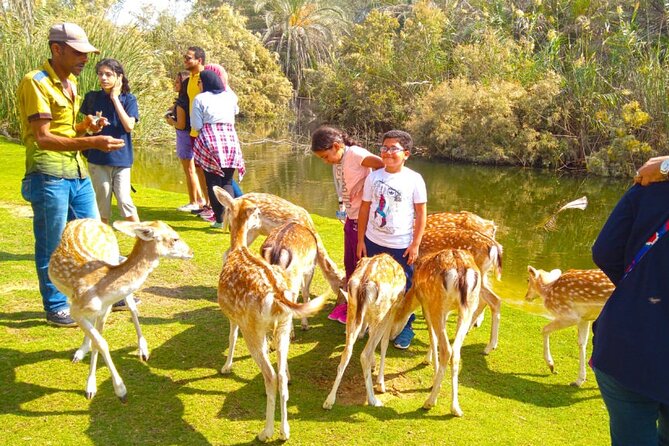 Private Safari Tour To Africano Park Alexandria From Cairo - Cancellation Policy