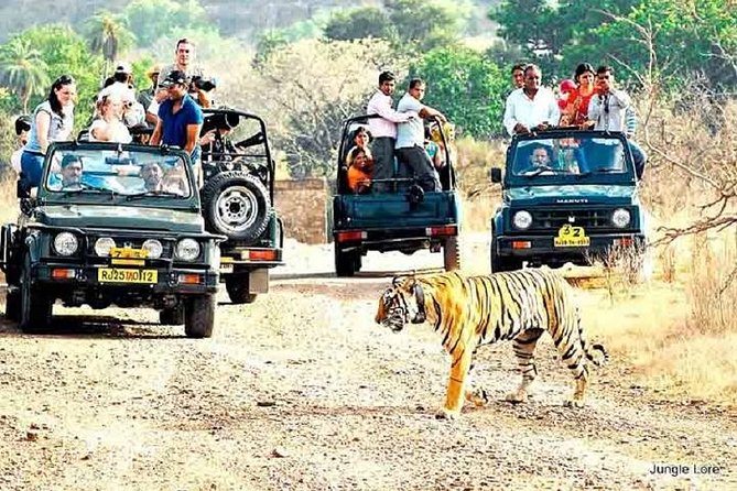Private Safari With Optional Add-Ons, Ranthambore Park (Feb ) - Overview and Inclusions