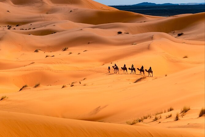 Private Sahara Discovery Tour From Marrakech to Fez by 4WD - Experience Details