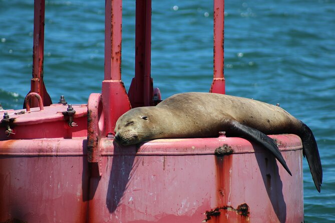 Private Sail Yacht Experience on San Diego Bay - Common Questions