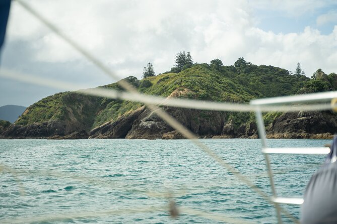 Private Sailing Charter Bay of Islands 11-15 People - Pricing and Availability