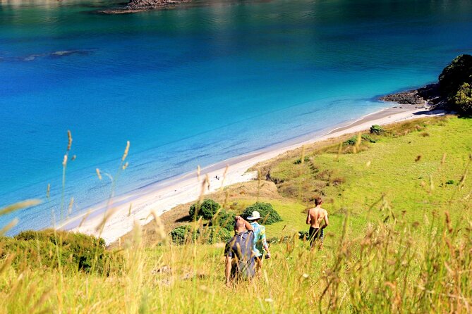 Private Sailing Charter Bay of Islands up to 10 People - Duration and Admission Ticket