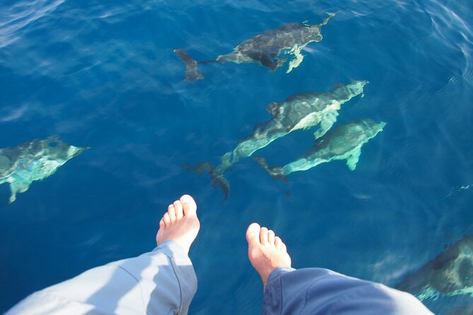 Private Sailing Experience From Estepona - Reviews and Additional Information