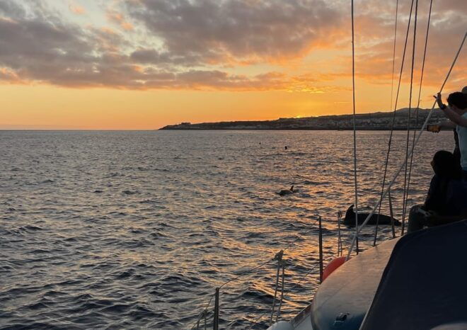 Private Sailing Sunset Tour PDL - Tour Experience