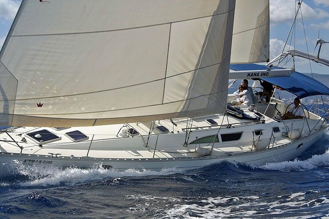 Private Sailing Through The Bay of Palma - Pricing and Booking Details