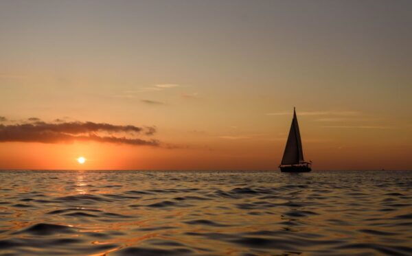 Private Sailing & Wine Tasting on a Sailboat With Sommelier - The Sum Up
