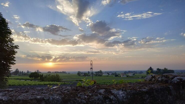Private Saint-Emilion At Sunset: Highlights City Tour - Good To Know