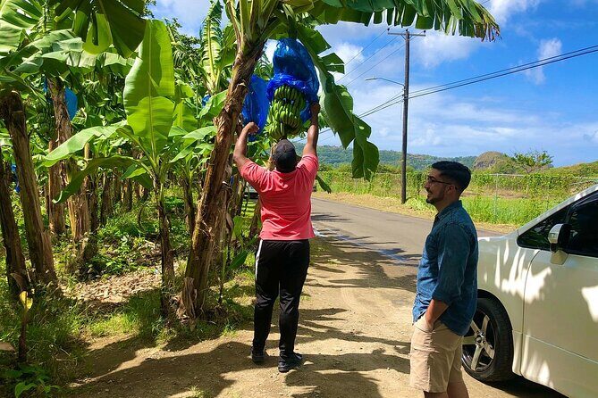 Private Saint Lucia Departure Tour - The Sum Up