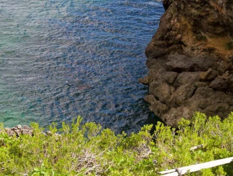 Private: Samana Adventure Cayo Levantado Kayak Snorkel Tour - The Value of the Tour