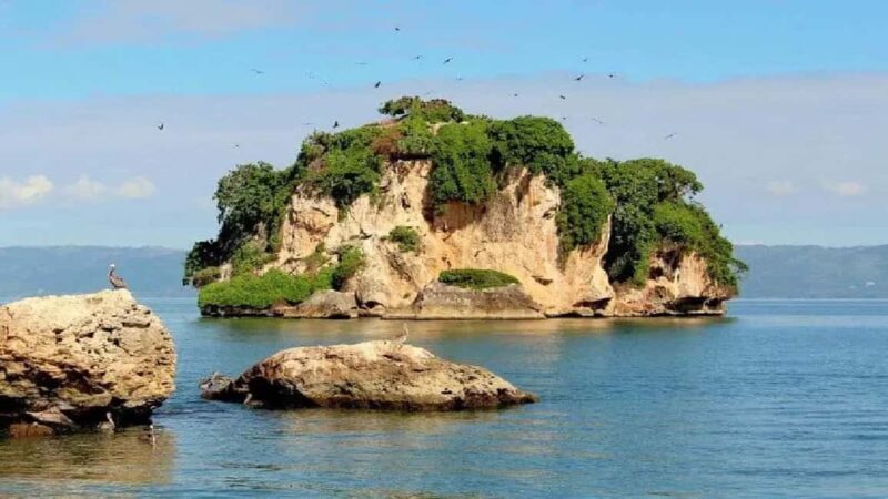 Private: Samaná Bay, El Limón, & Cayo Levantado Tour - Authentic Experiences and Insider Tips