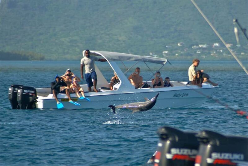 Private: Samana: Bay of Samaná Whale Watching Experience - Exploring the Experience in Detail