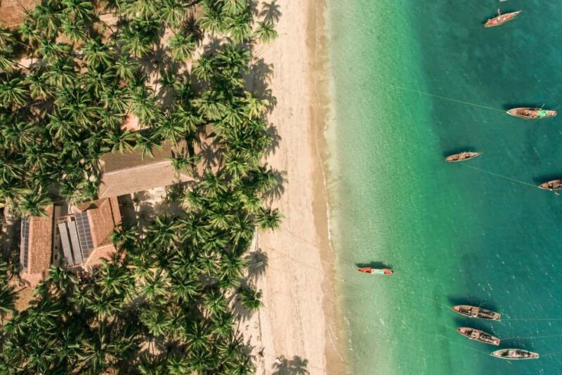 Private: Samaná: Cayo Levantado Day Trip with Lunch & Drinks - Practical Details & Tips