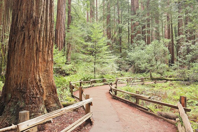 Private San Francisco City Tour and Muir Woods With Sausalito - Common Questions