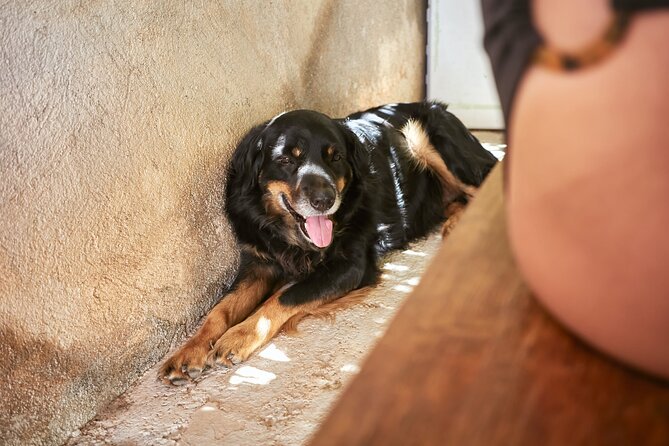 Private Sandal Making in Palma De Mallorca - Common Questions