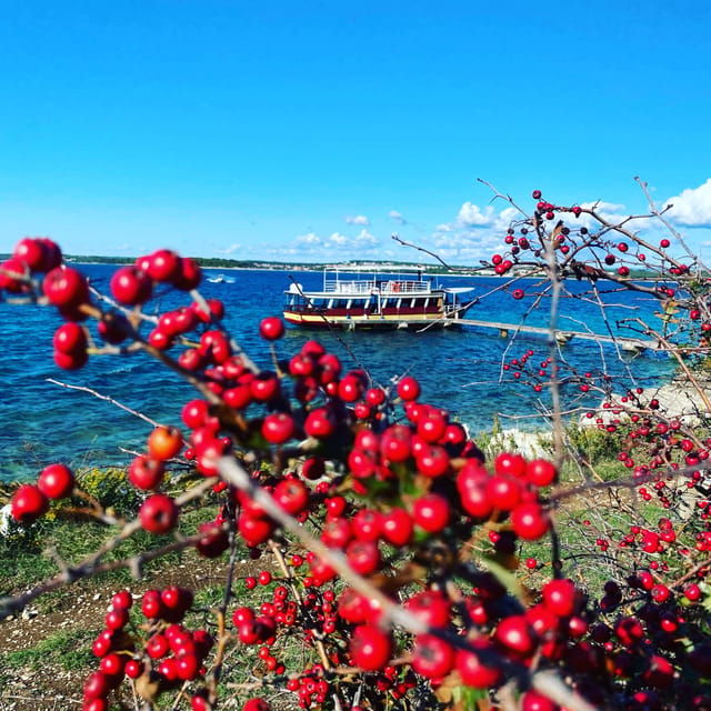 Private Sandra Boat Excursion Medulin - Ceja - Kamenjak - Meeting Point and Recommendations