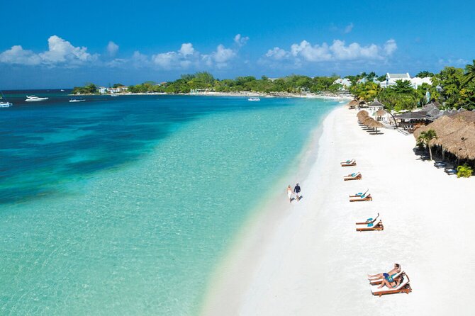 Private Sangster Airport and Excursion Transport in Montego Bay - Transportation Options and Service Animals