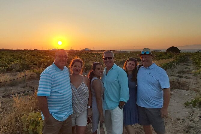 Private Santorini Wine Tasting Tour, 3 Wineries and Light Bites - The Sum Up