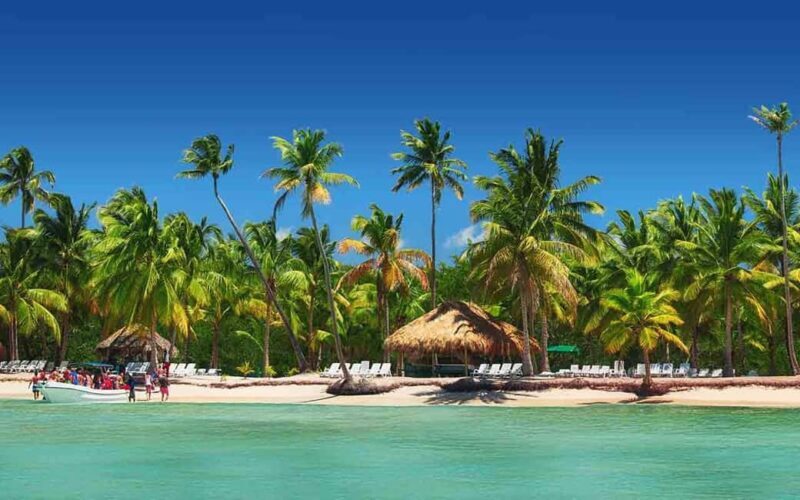 Private: Saona Island Full-Day Escape with Meals & Beverages - A Complete Review of the Private Saona Island Full-Day Escape with Meals & Beverages