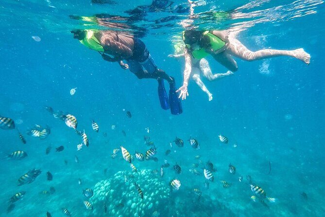 Private Saône Island by Luxury Boat - Good To Know