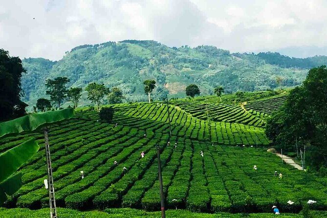 Private Sapa Motorbike Tour - Tea Hill - Frequently Asked Questions (FAQs)