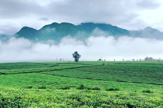 Private Sapa Motorbike Tour - Tea Hill - Final Thoughts