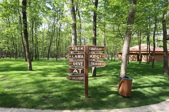 Private Sapanca and Masukiye Tour from Istanbul - Final Thoughts