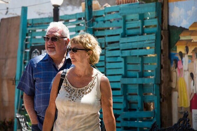 Private Sayulita and San Pancho Beach Towns Tour - Who Should Take This Tour?