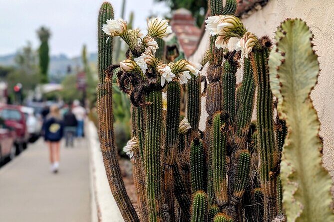 Private Scavenger Hunt in San Juan Capistrano Tour - Why We Love the Experience  