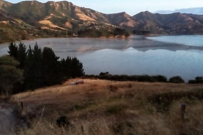 Private Scenic Christchurch/ Lyttelton /Port Hills Day Excursion - Overall Rating and Rating Breakdown
