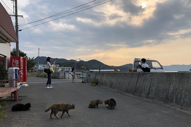 Private Scenic Cycling in Teshima Island Includes Teshima Museum - Common Questions