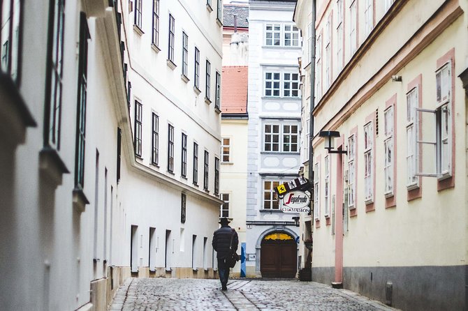 Private Scenic Transfer From Munich to Vienna With 4h of Sightseeing - Tour Details and Accessibility