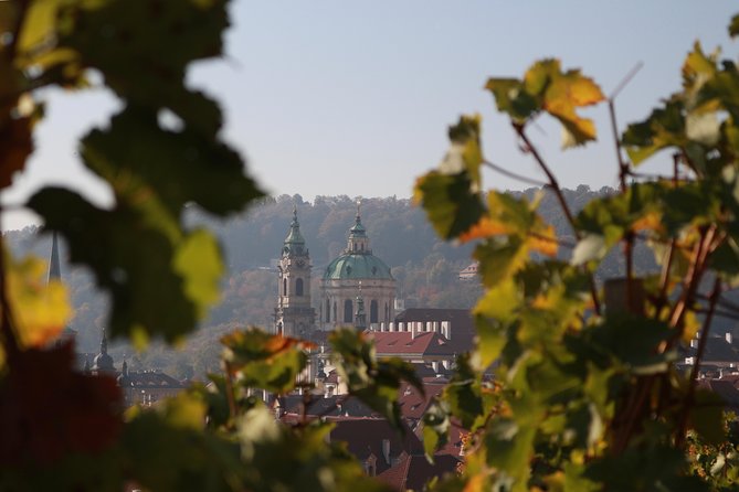 Private Scenic Transfer From Salzburg to Prague With 4h of Sightseeing - Cancellation Policy and Customer Reviews