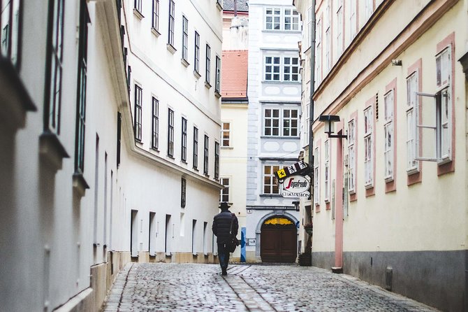 Private Scenic Transfer From Salzburg to Vienna With 4h of Sightseeing - Common Questions