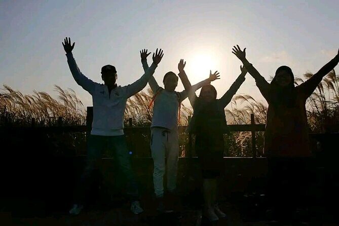 Private schedule Day Tour With Local Taxi Driver in jeju island - Discovering Jeju’s Highlights: A Deep Dive into the Tour