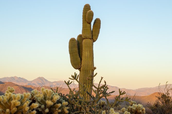 Private Scottsdale Off-Road Jeep Tour - Cancellation Policy and Reviews