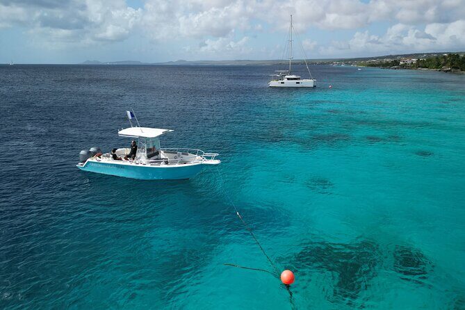 Private Scuba Diving Charter in Bonaire Marine Park - In-Depth Look at the Experience