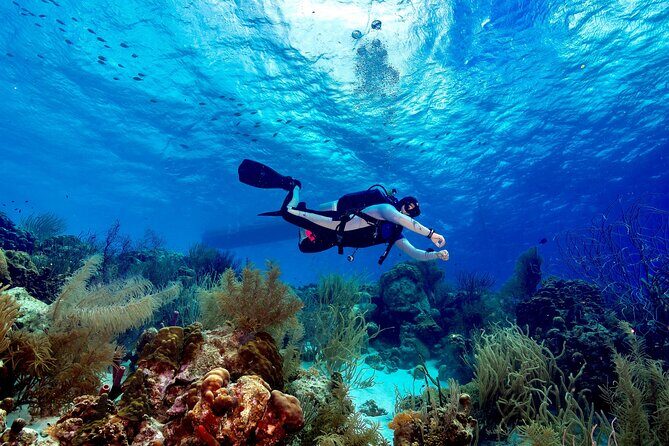 Private Scuba Diving Charter in Bonaire Marine Park - Frequently Asked Questions