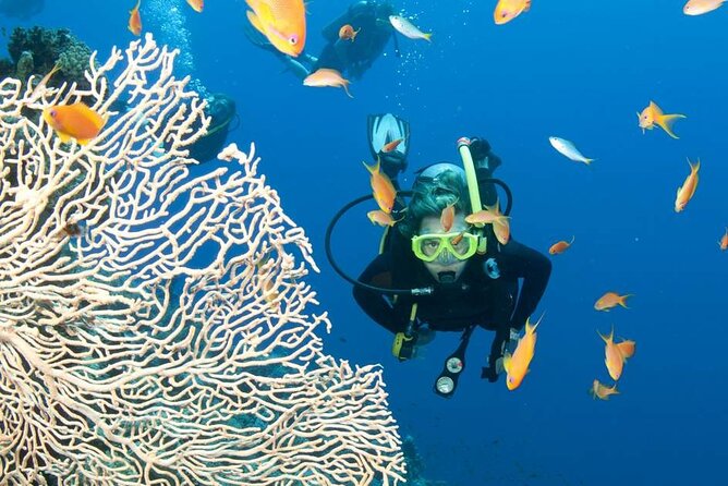 Private Scuba Diving Initiation With Licensed Guide - Cancellation Policy and Refund Options