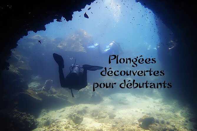 Private Scuba Diving Initiation With Licensed Guide - Common Questions