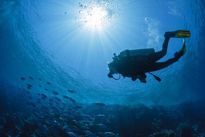 Private Scuba Diving Tour in San Juan - Who is This Tour Best For?