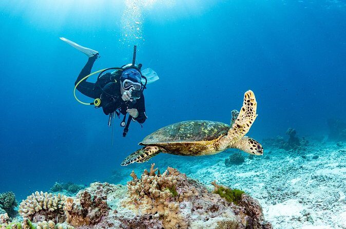 Private Scuba Diving Tour in San Juan - FAQ