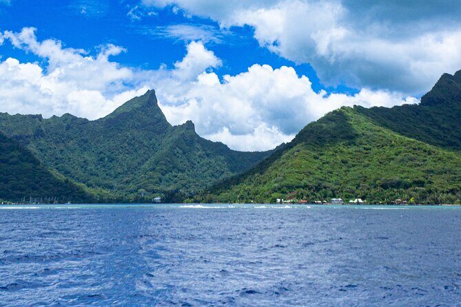 Private Sea Adventure in Moorea: A Day of Fishing Like a Local - An Authentic Polynesian Fishing Experience in Moorea