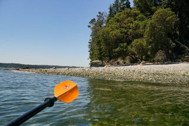 Private Sea Kayak Tour to Blake Island State Park - Wildlife and Scenery