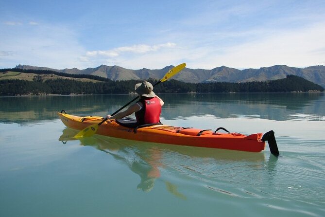 Private Sea Kayaking Tour From Christchurch/Lyttleton - Tour Pricing and Booking