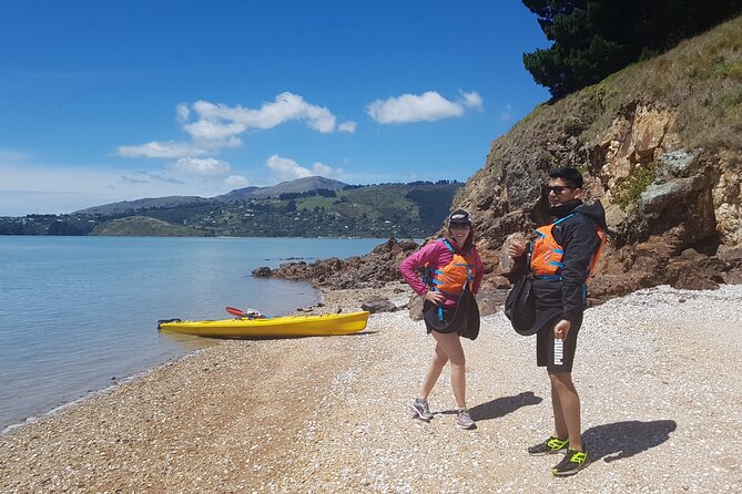 Private Sea Kayaking Tour From Christchurch/Lyttleton - Additional Information and Accessibility