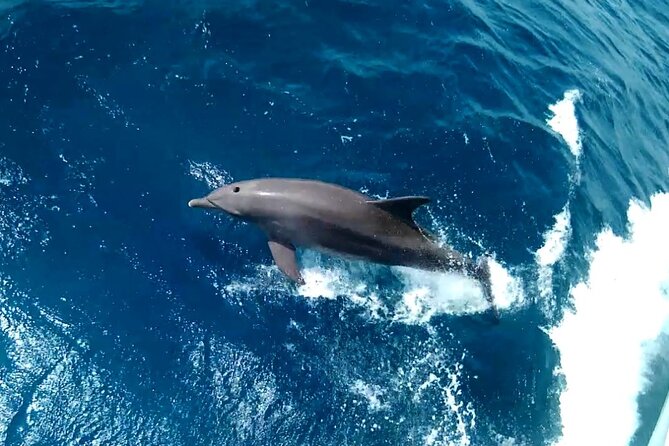 Private Sea Trip Hurghada - Cancellation Policy and Reviews