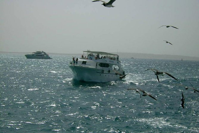 Private Sea Trip Hurghada - Common Questions