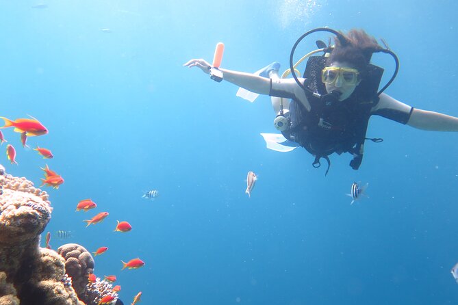 Private Sea Trip Hurghada - The Sum Up